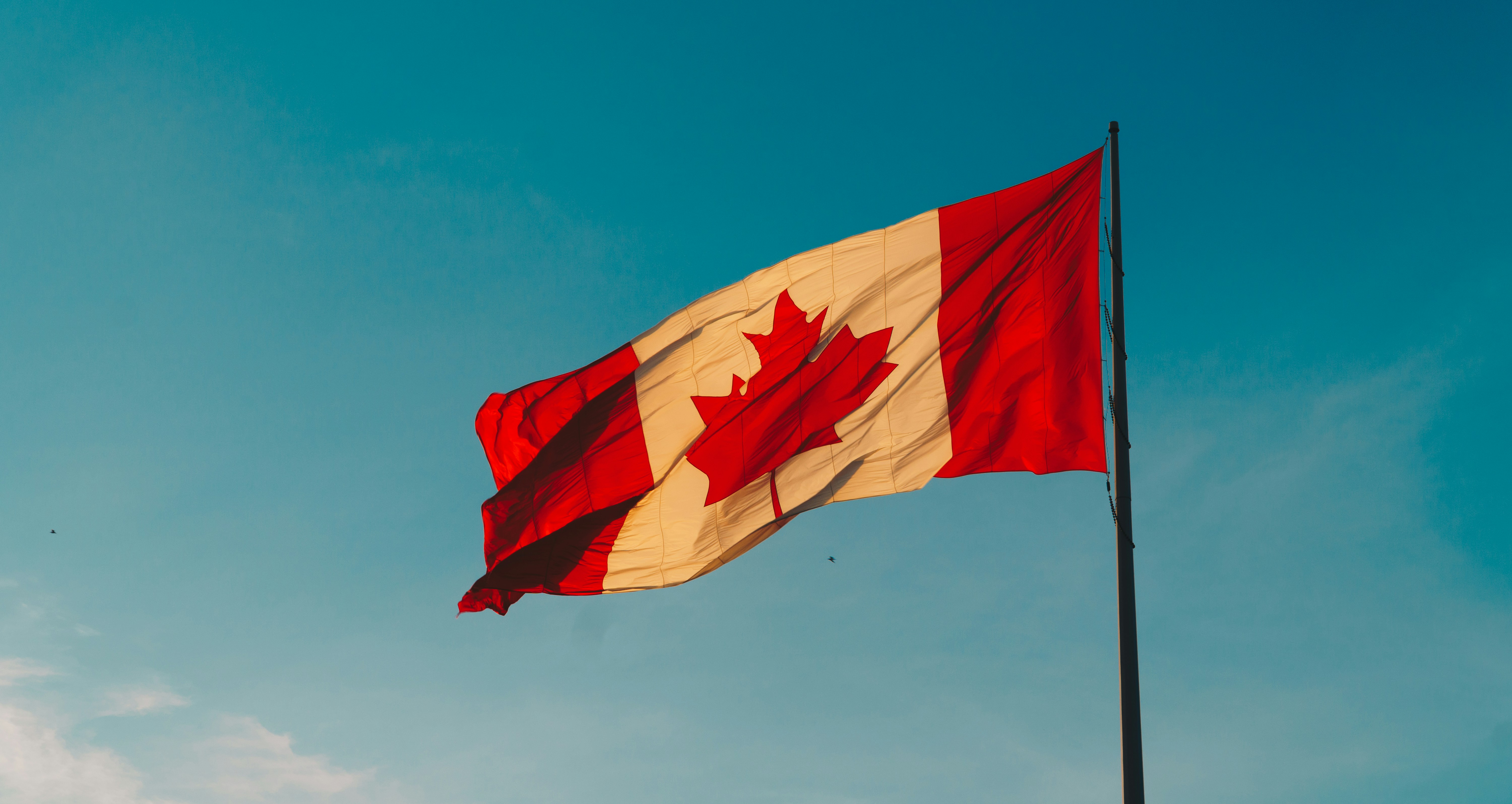 42 perecent decline in the number of study visas for Indian students approved by Canada